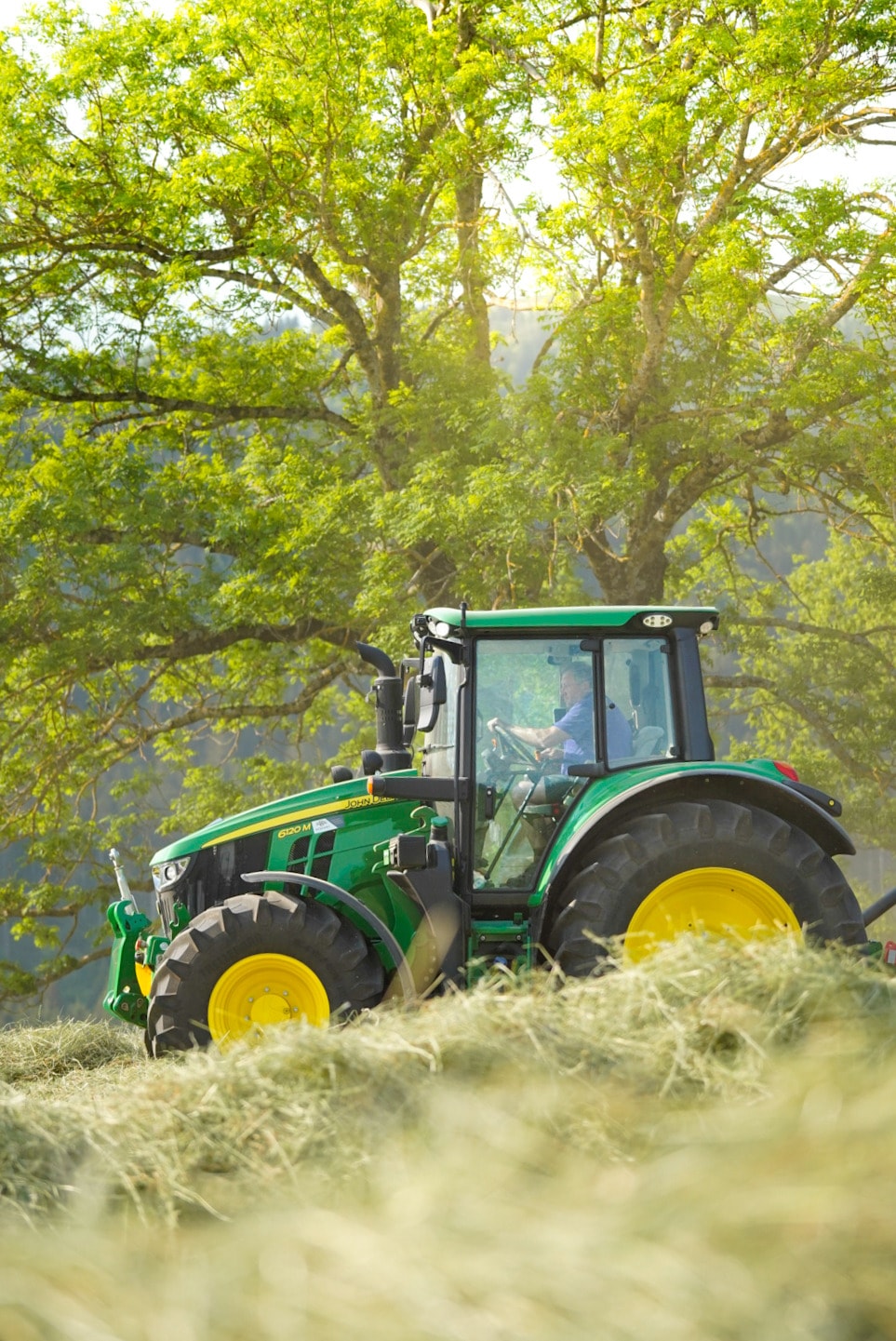Green tractor working in a field under a large tree